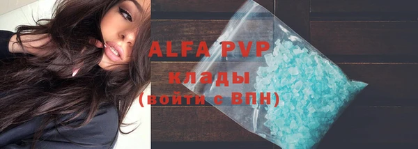 прущие грибы Гусь-Хрустальный