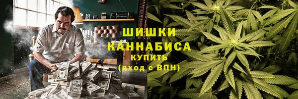 ПСИЛОЦИБИНОВЫЕ ГРИБЫ Гусиноозёрск