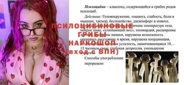 соль ск Горнозаводск