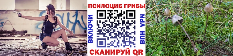 Псилоцибиновые грибы прущие грибы  darknet как зайти  Назарово  блэк спрут сайт 