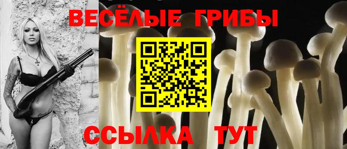 Назарово  Галлюциногенные грибы ЛСД  Псилоцибиновые грибы ЛСД  Вход с VPN 