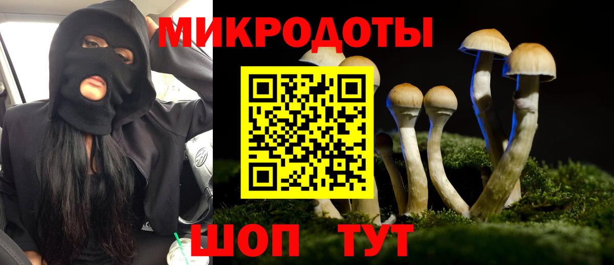 Псилоцибиновые грибы Psilocybine cubensis Назарово